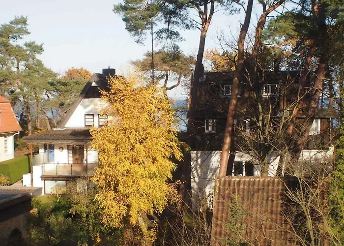 Timmare I Stranddistel Timmendorfer Strand